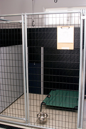HappyTails_ 066
