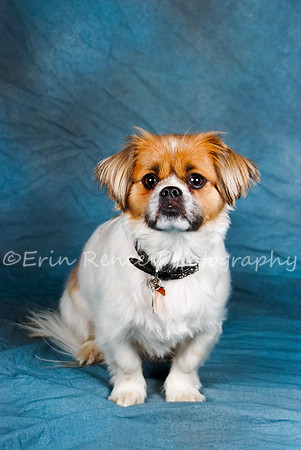 Kasey_-26