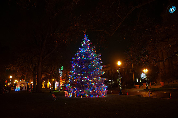 Spirt-of-the-Season25_146