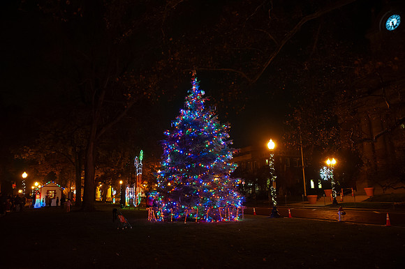 Spirt-of-the-Season25_147