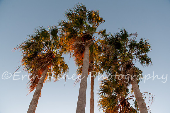 Florida2020_085
