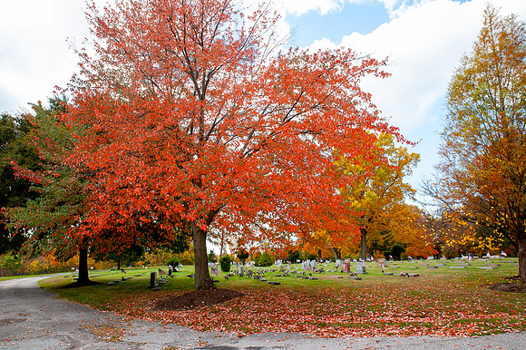 PainevilleCity-Fall2023_017
