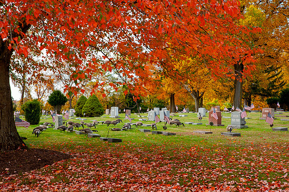 PainevilleCity-Fall2023_018