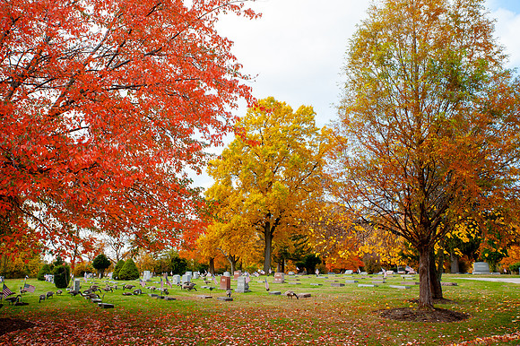 PainevilleCity-Fall2023_020