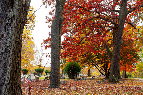PainevilleCity-Fall2023_032