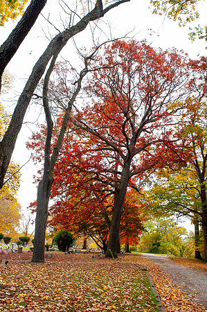 PainevilleCity-Fall2023_033