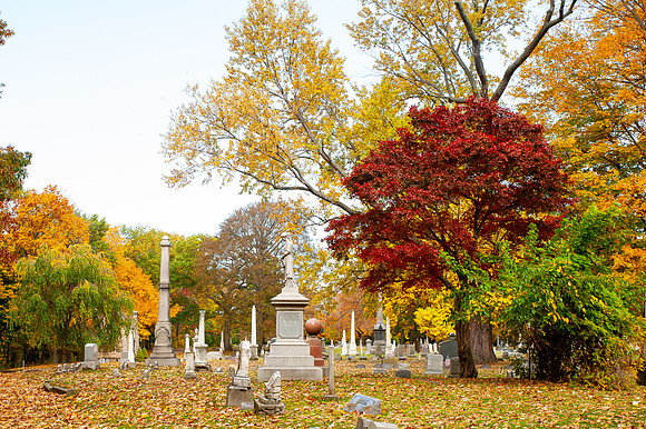 PainevilleCity-Fall2023_034