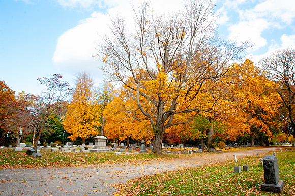 PainevilleCity-Fall2023_044