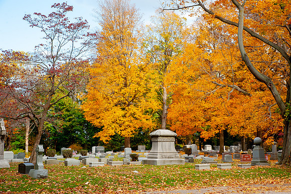 PainevilleCity-Fall2023_046