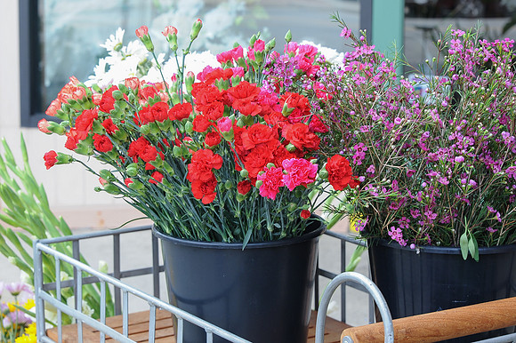 FlowersOnMain--RC_215