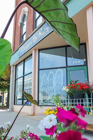 FlowersOnMain--RC_231