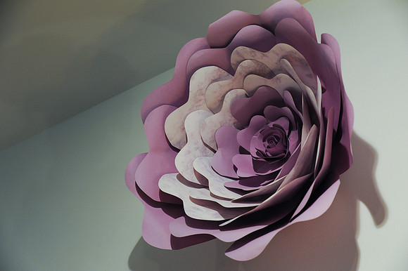 FlowersOnMain--RC_062