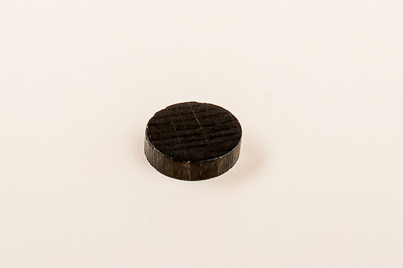 FischbachKimberly-r2_021