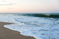 OBX2020_0136