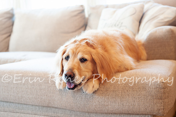 AndersonFamily24_003