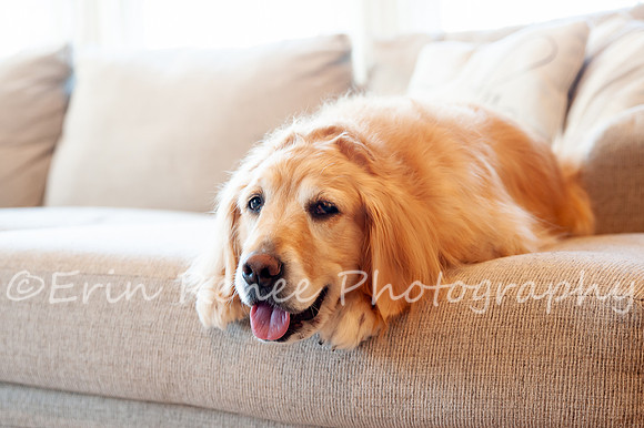 AndersonFamily24_004