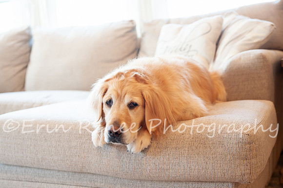 AndersonFamily24_002