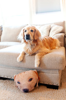AndersonFamily24_012