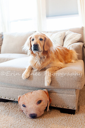 AndersonFamily24_012