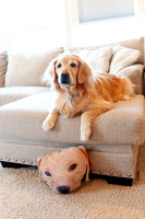 AndersonFamily24_014