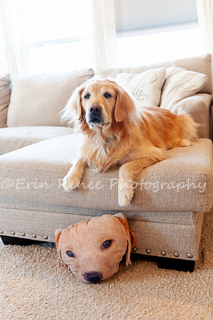 AndersonFamily24_014