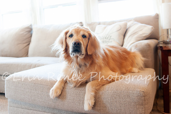 AndersonFamily24_016