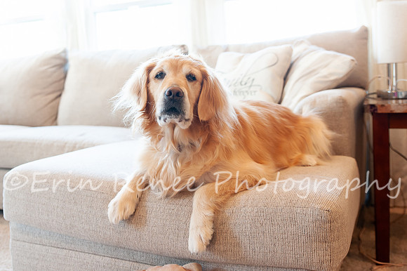 AndersonFamily24_018