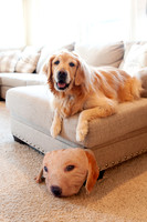 AndersonFamily24_019