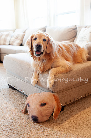AndersonFamily24_019