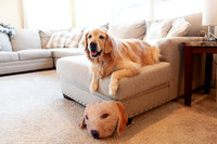 AndersonFamily24_022