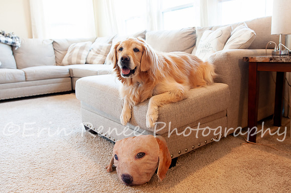 AndersonFamily24_022