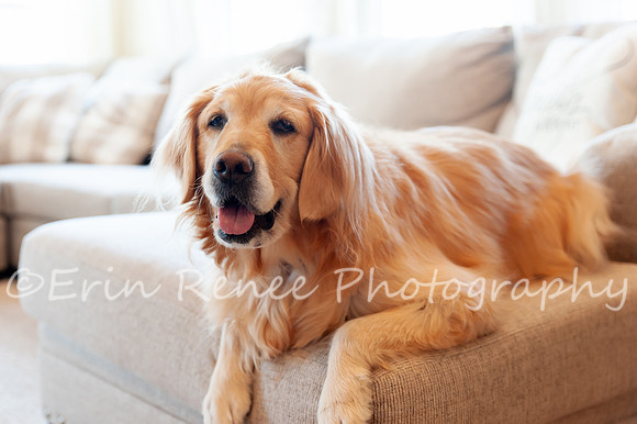 AndersonFamily24_027