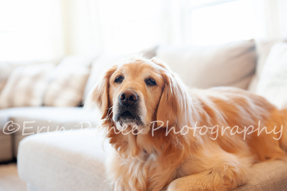 AndersonFamily24_030
