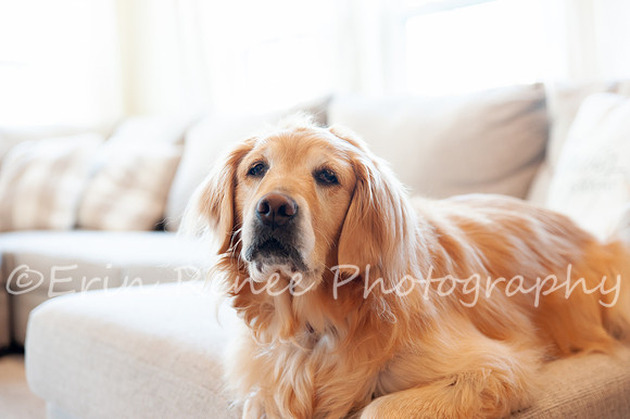 AndersonFamily24_032