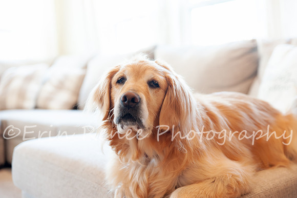 AndersonFamily24_033