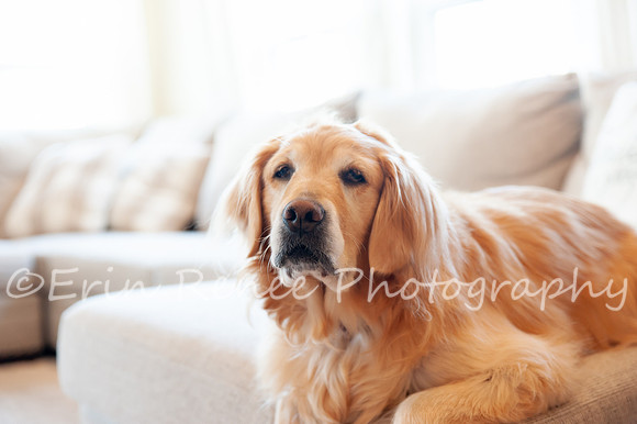 AndersonFamily24_036