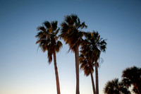 Florida2020_103