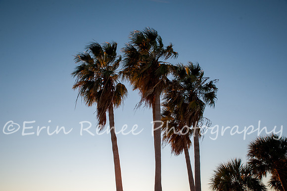Florida2020_103