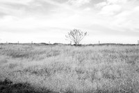 Gettysburg2019_312
