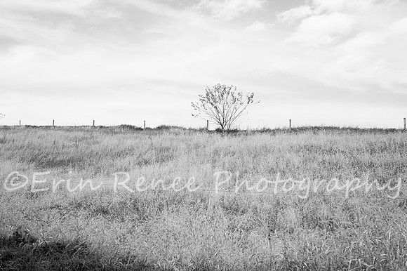 Gettysburg2019_312