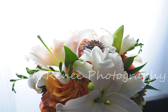 SearsNelson_063