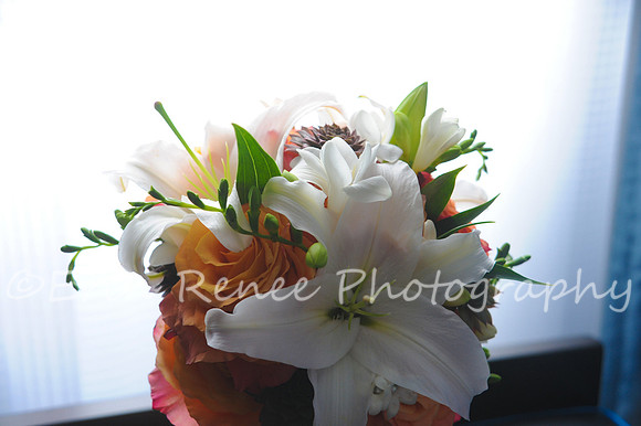 SearsNelson_062
